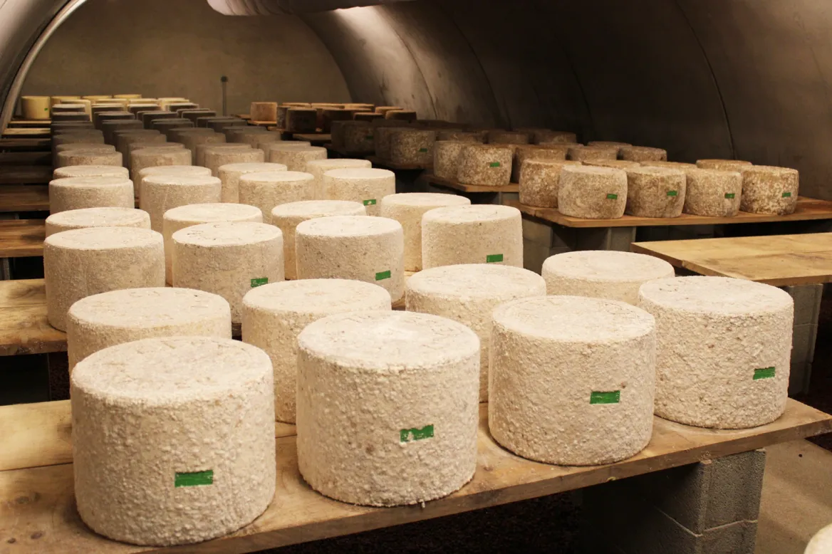 La Compagnie Fermière cheeses