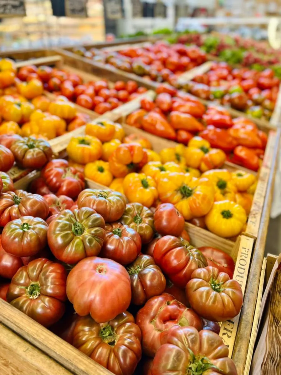 The Tomato Farm Company