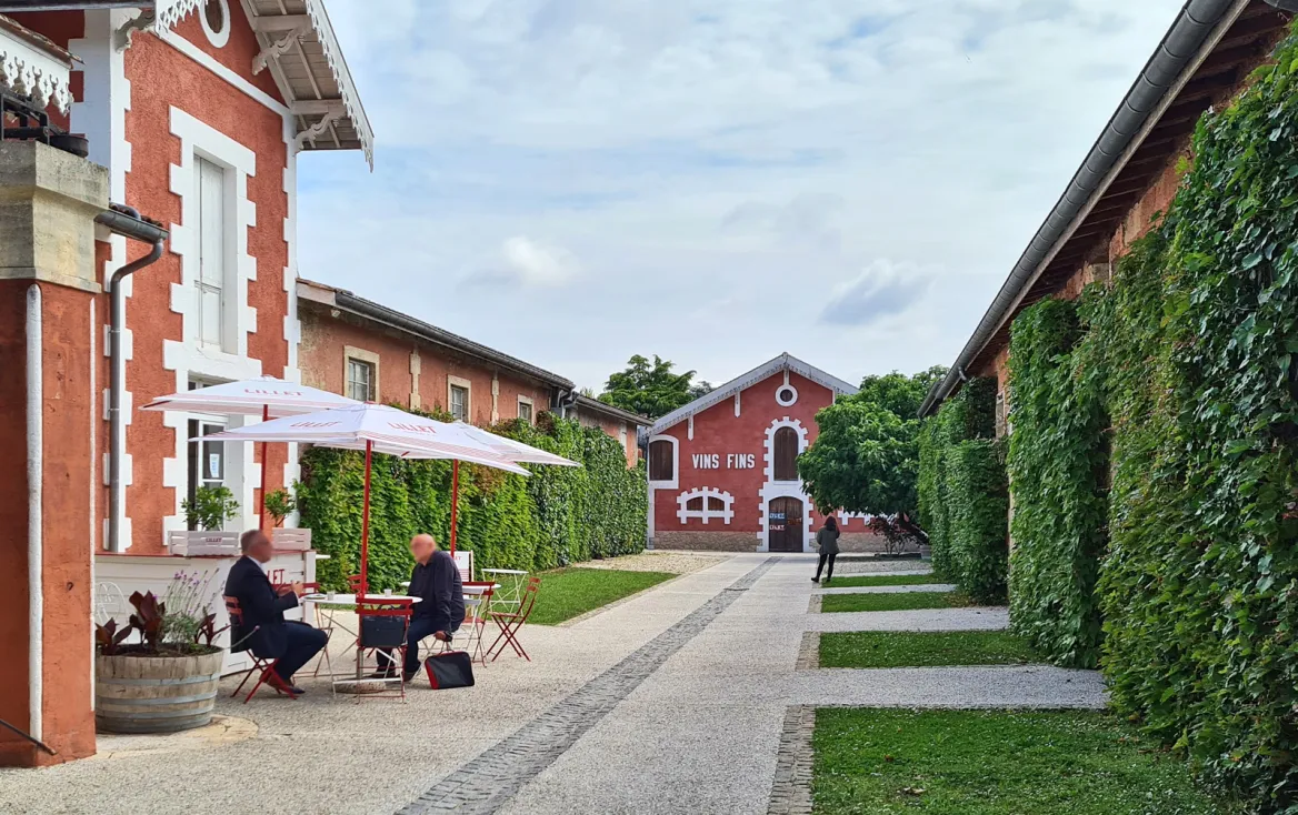 Visit of the Maison Lillet
