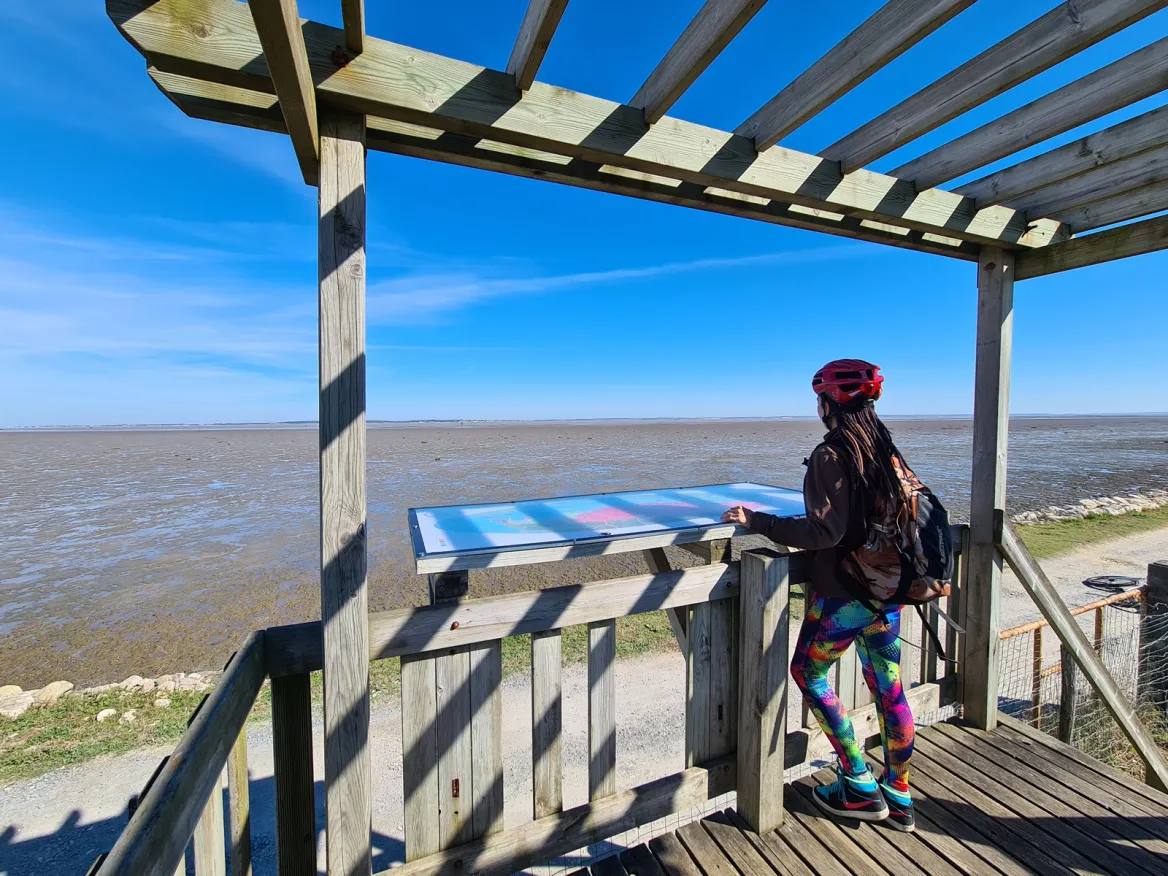 Observation hut
