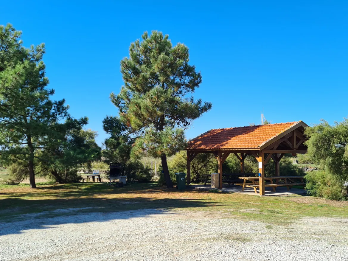 Barbecue area
