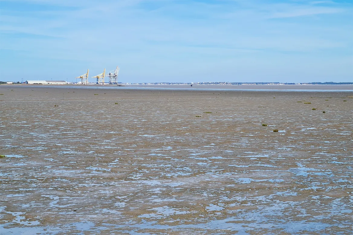 The estuary at low tide