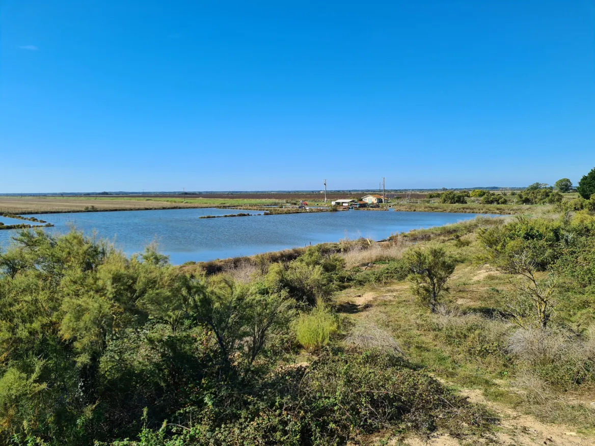 Les Mattes and oyster farms