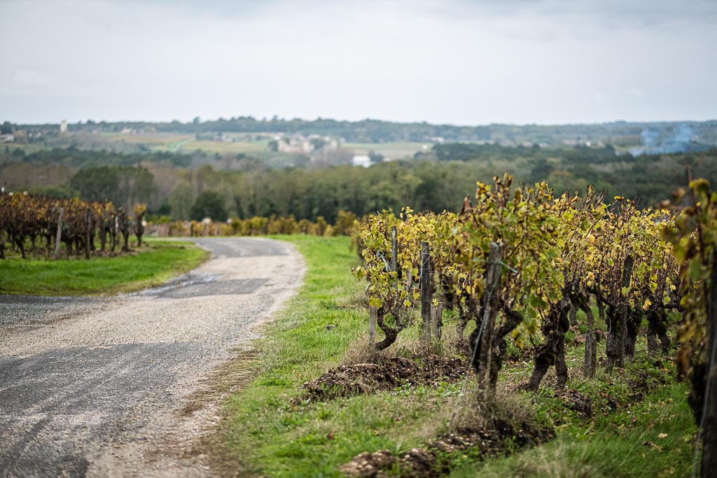 Sauternes road