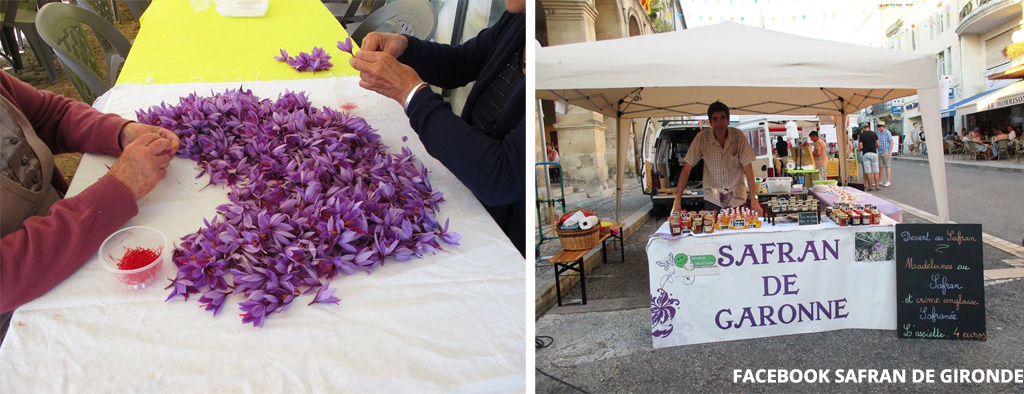 Séparation des pistils et vente sur les marchés