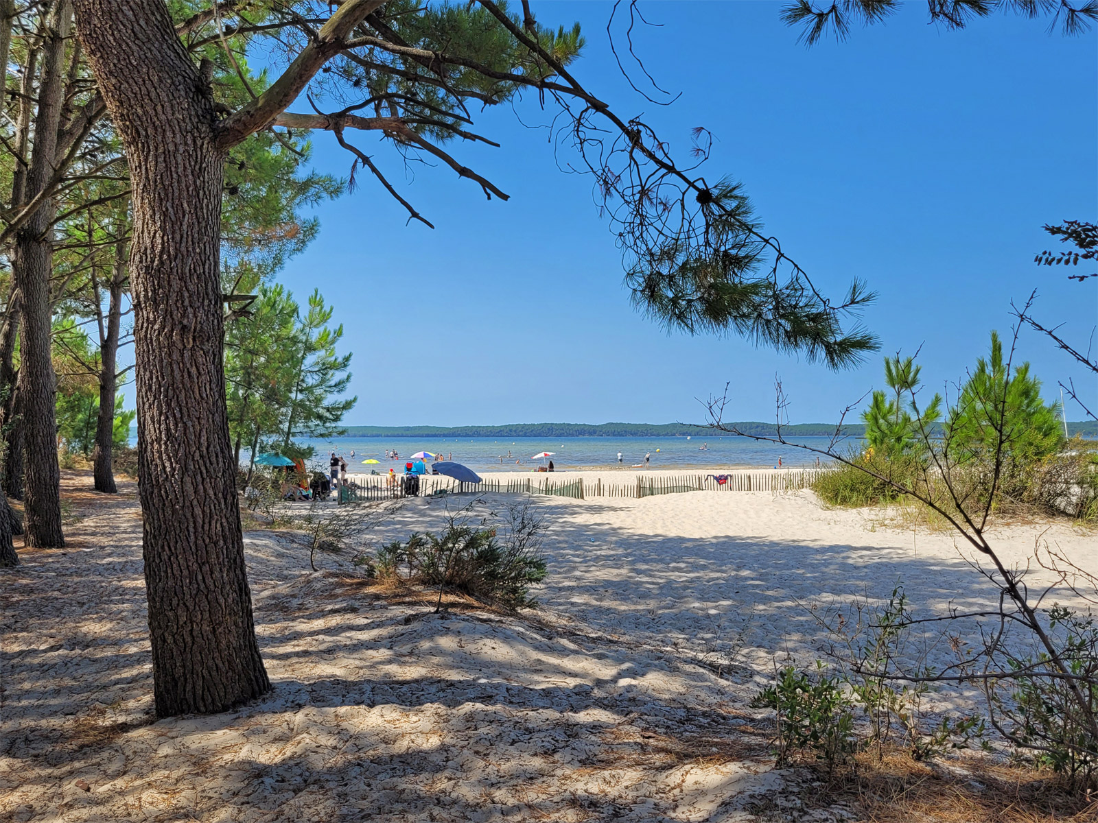 The Unmissable Attractions Of Hourtin Its Market Its Family Village The Unmissable Attractions Of Hourtin Its Market Its Family Village