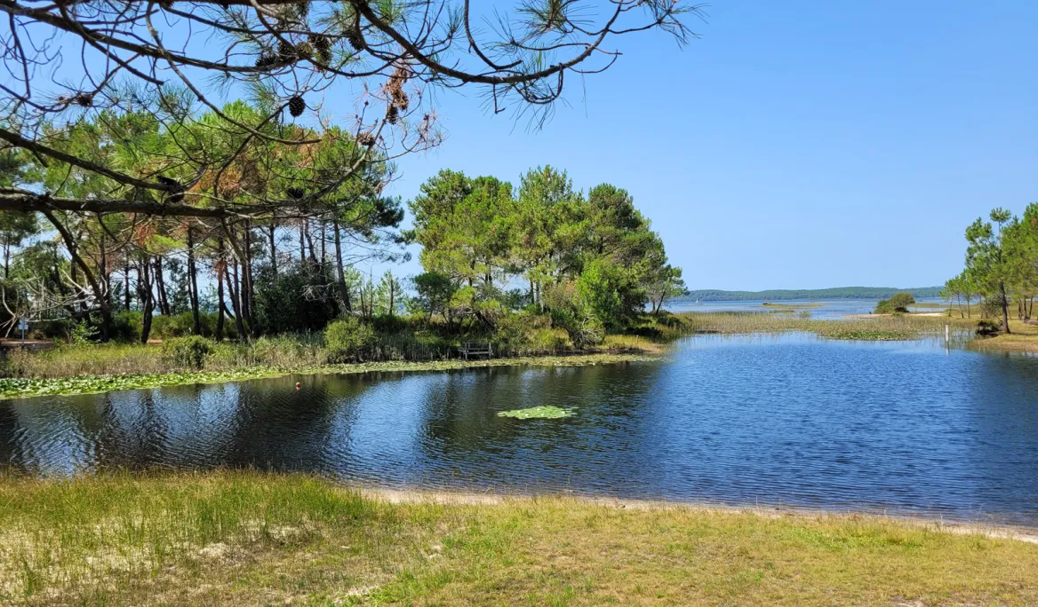 Hourtin Lake
