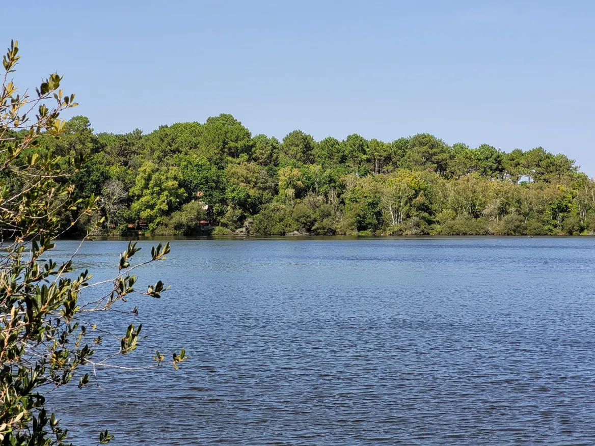 La Lagune de Contaut à Hourtin