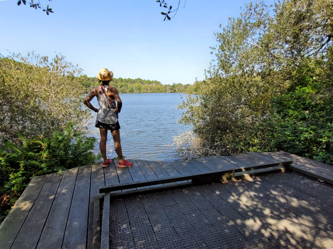 Lagune de Hourtin