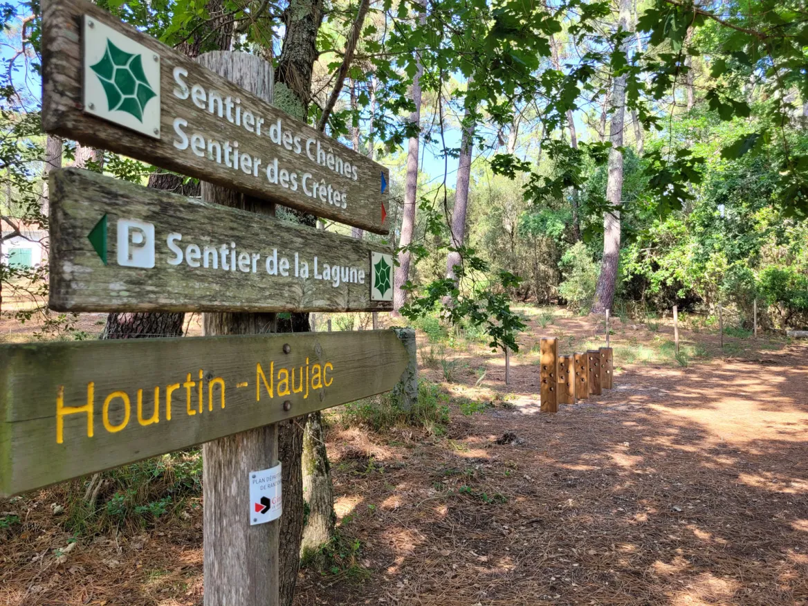 Sentiers La Lagune de Contaut à Hourtin