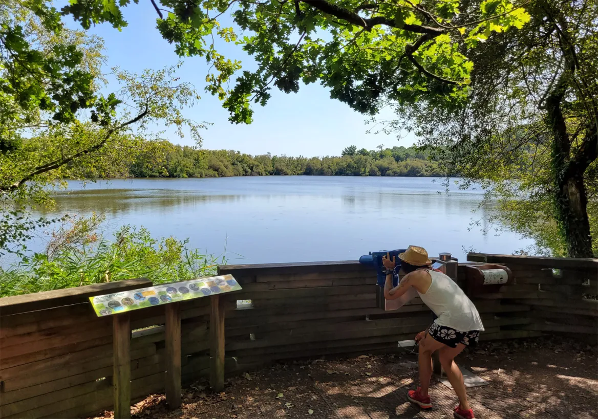 La Lagune de Contaut à Hourtin