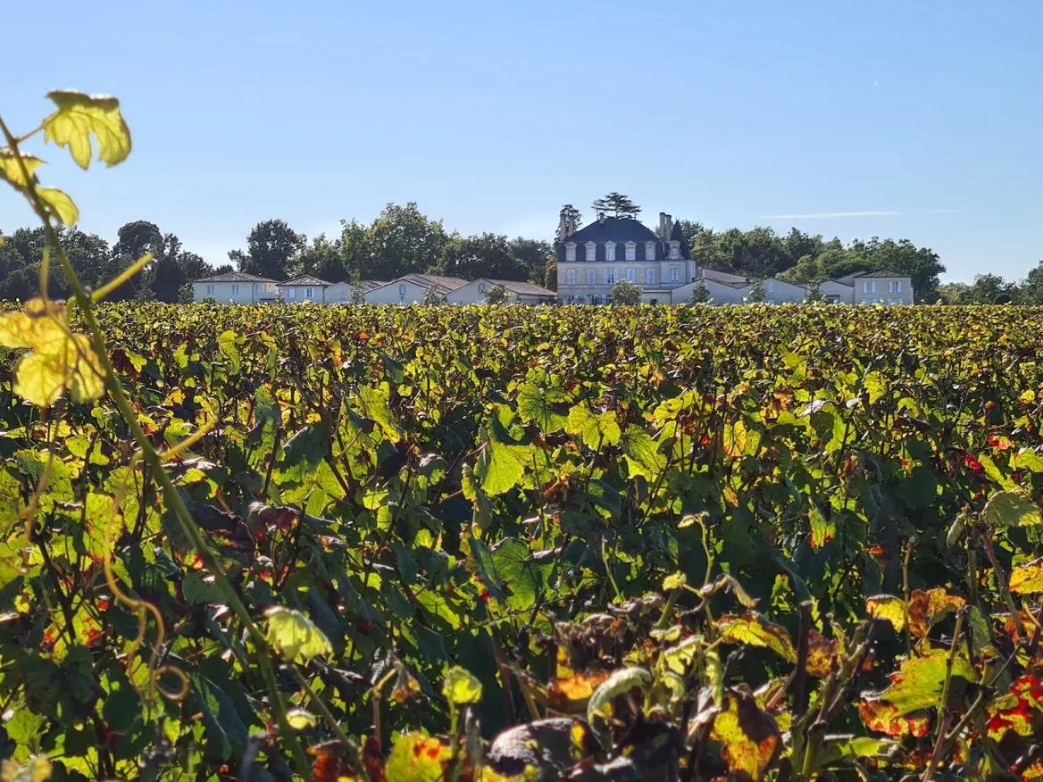 Francois Xavier Borie Estate