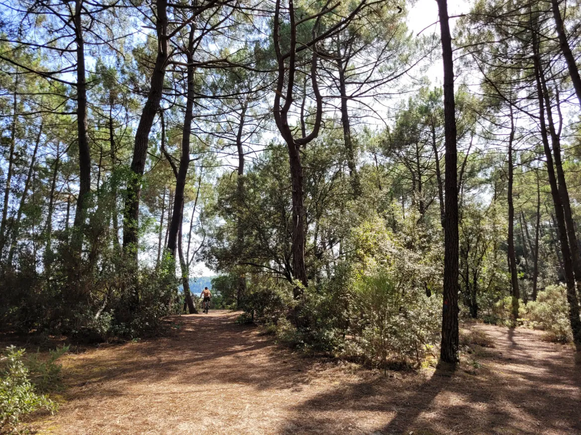 Sentier à Piqueyrot