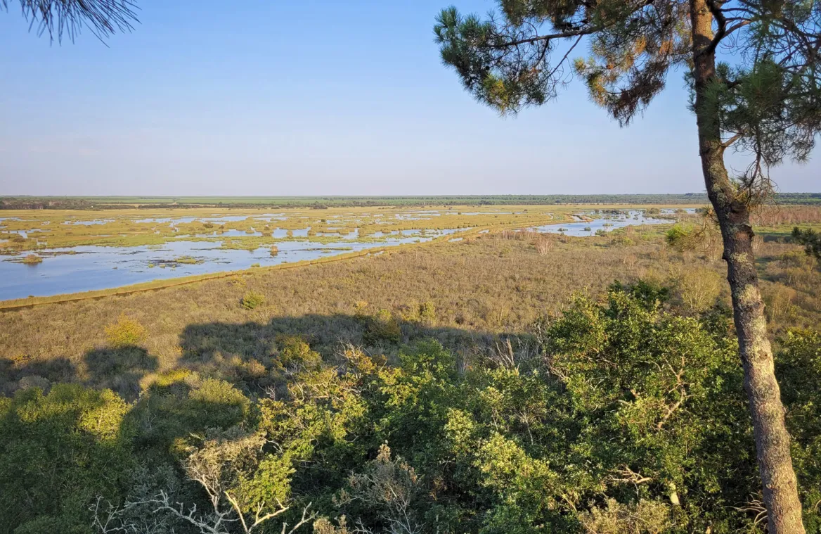 Réserve Naturelle de l'Etang de Cousseau