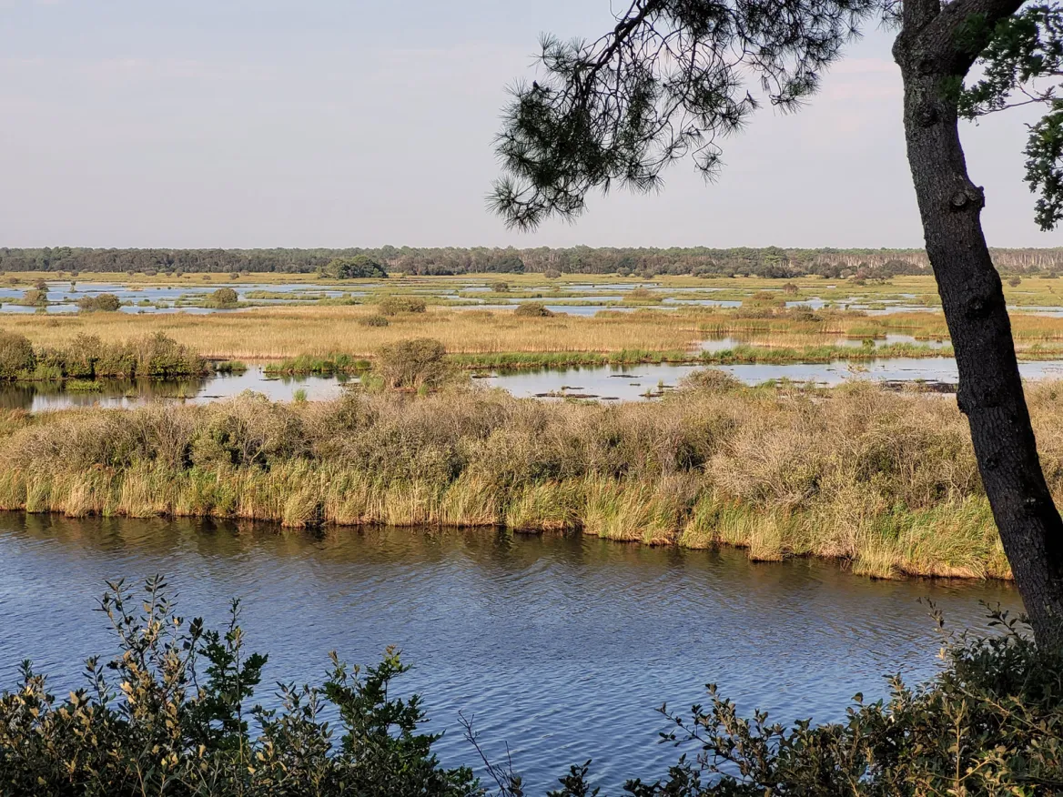 Réserve Naturelle de l'Etang de Cousseau