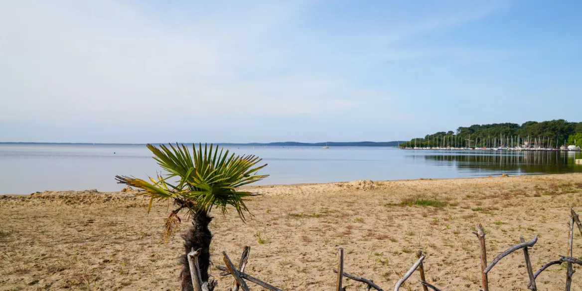 Lake Lacanau