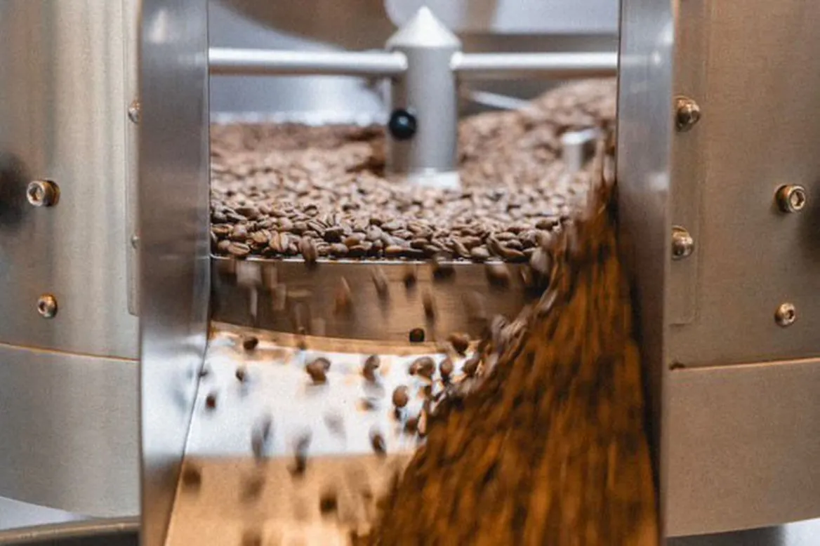 Bordeaux specialty coffee
