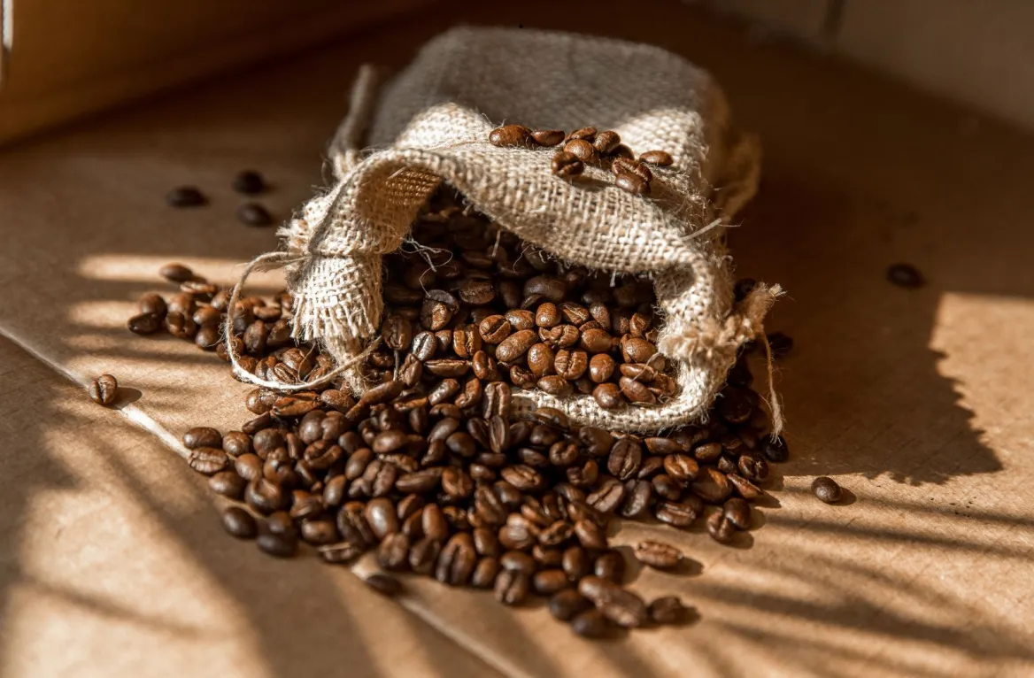 Bordeaux specialty coffee