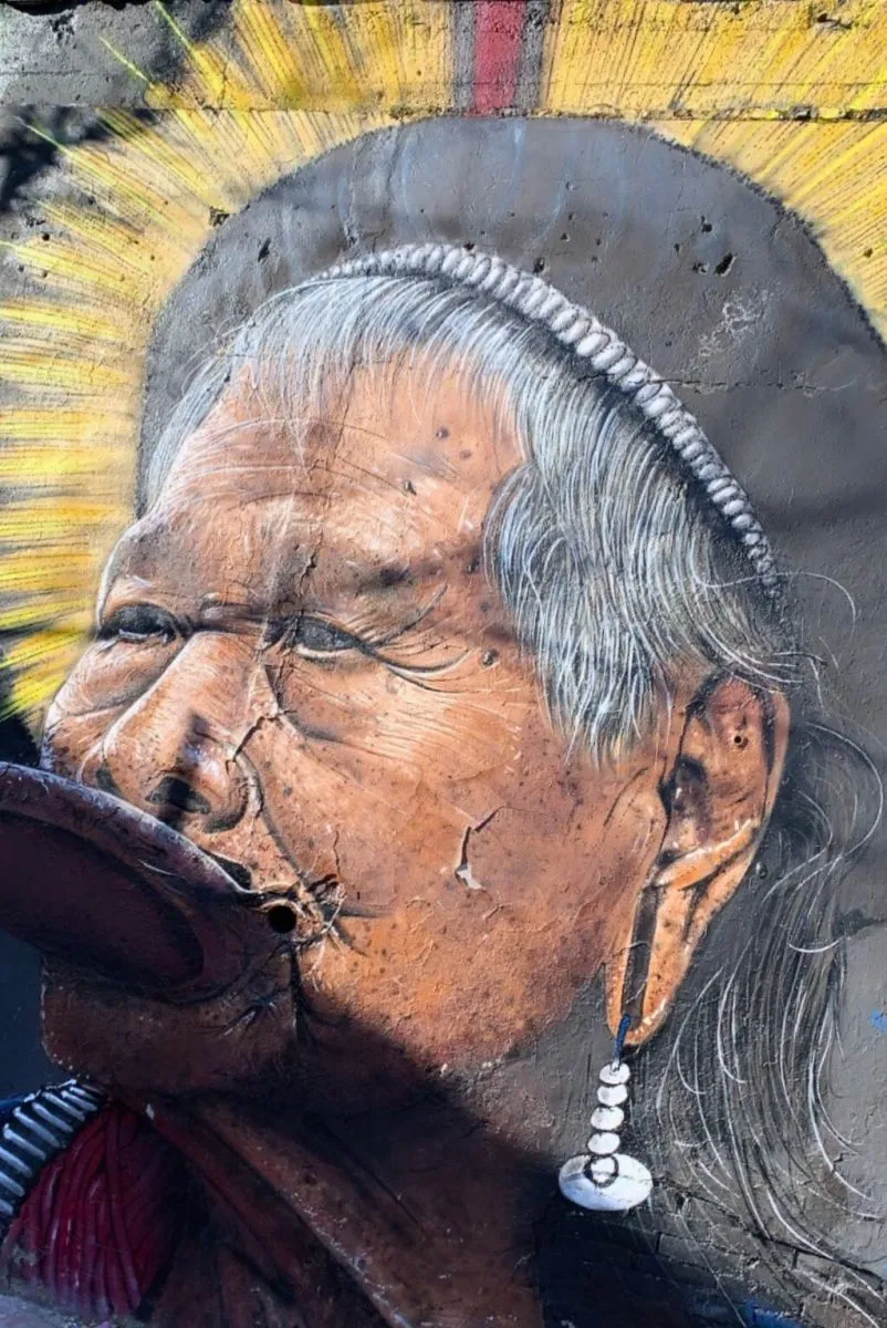 Street art Darwin Bordeaux