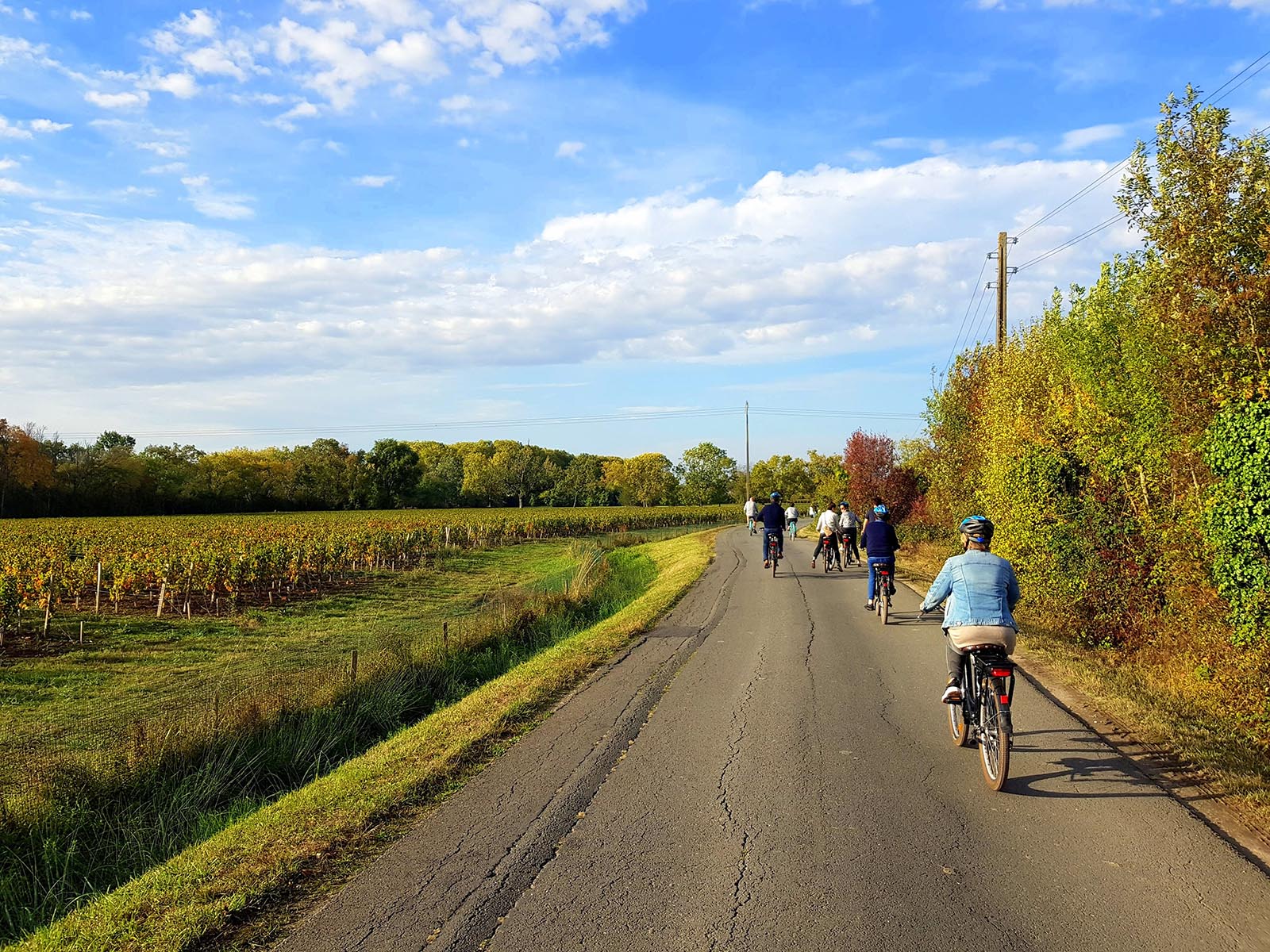 Vélos vignes Médoc