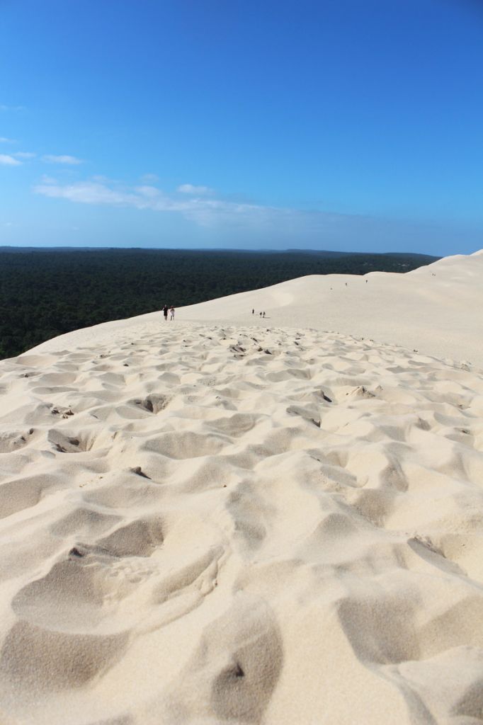 La Dune du Pilat 