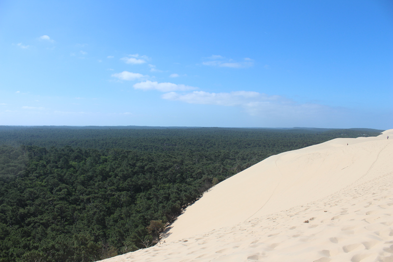 La Dune du Pilat 