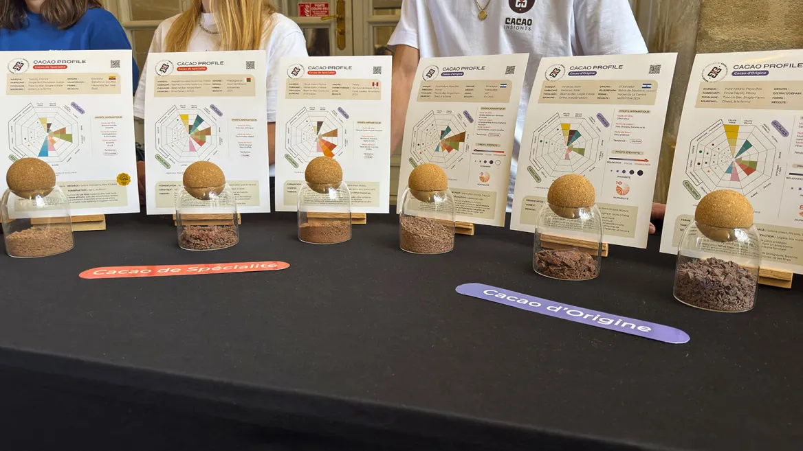 Les différents cacao