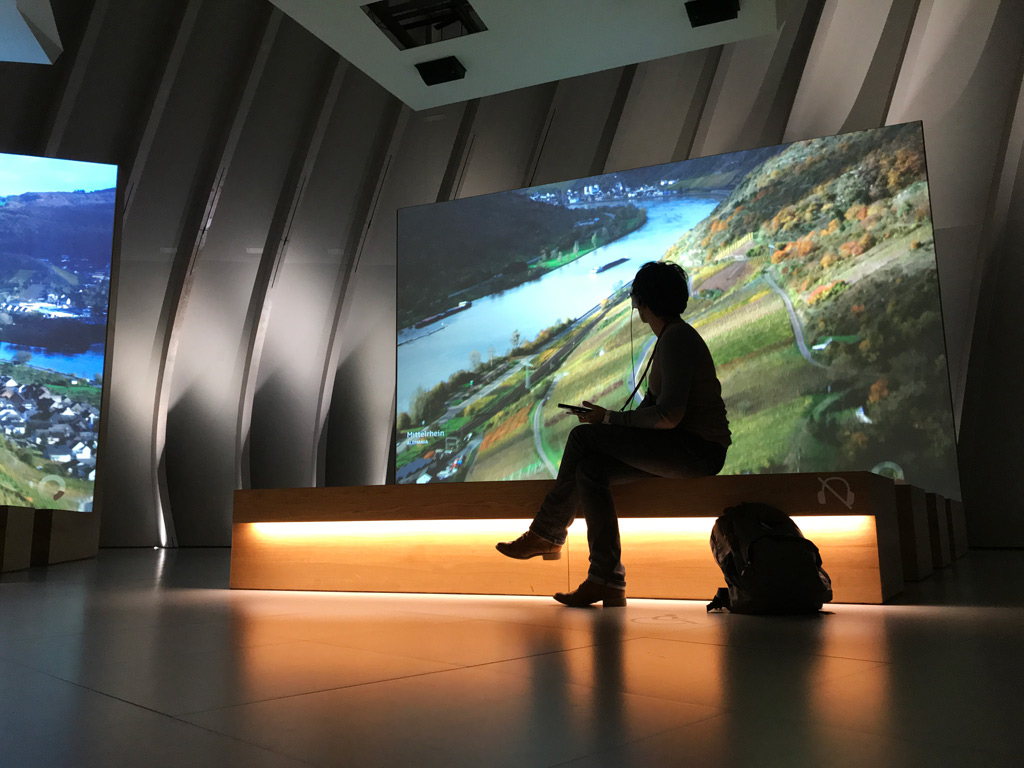 Projection of images of vineyards from around the world