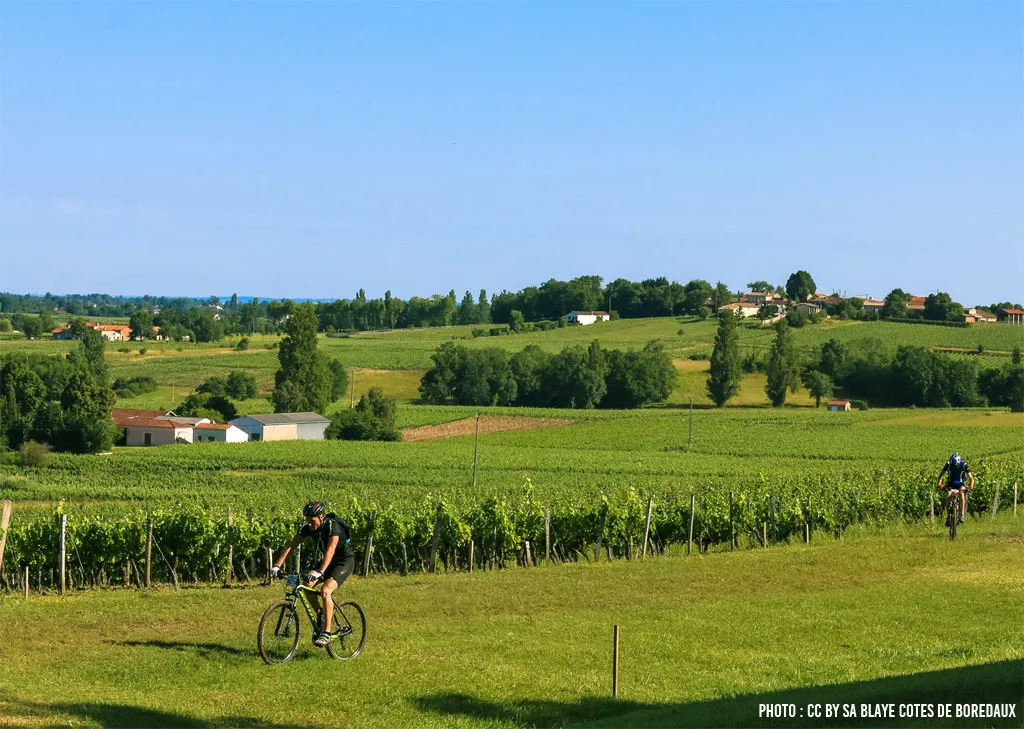 Blaye Coasts of Bordeaux