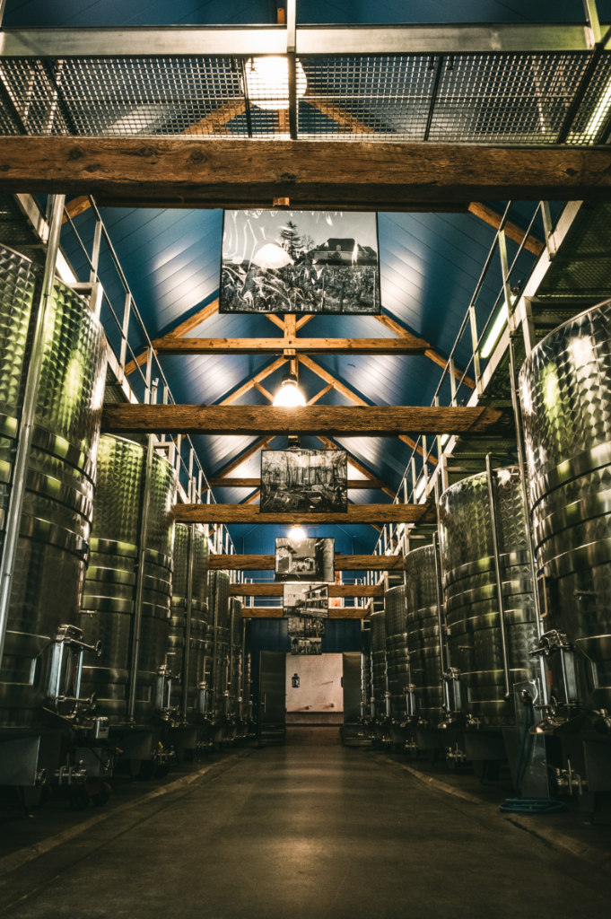 cava chateau viticole
