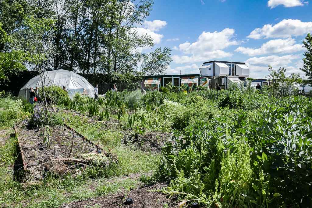 Jardin Potager Darwin Bordeaux