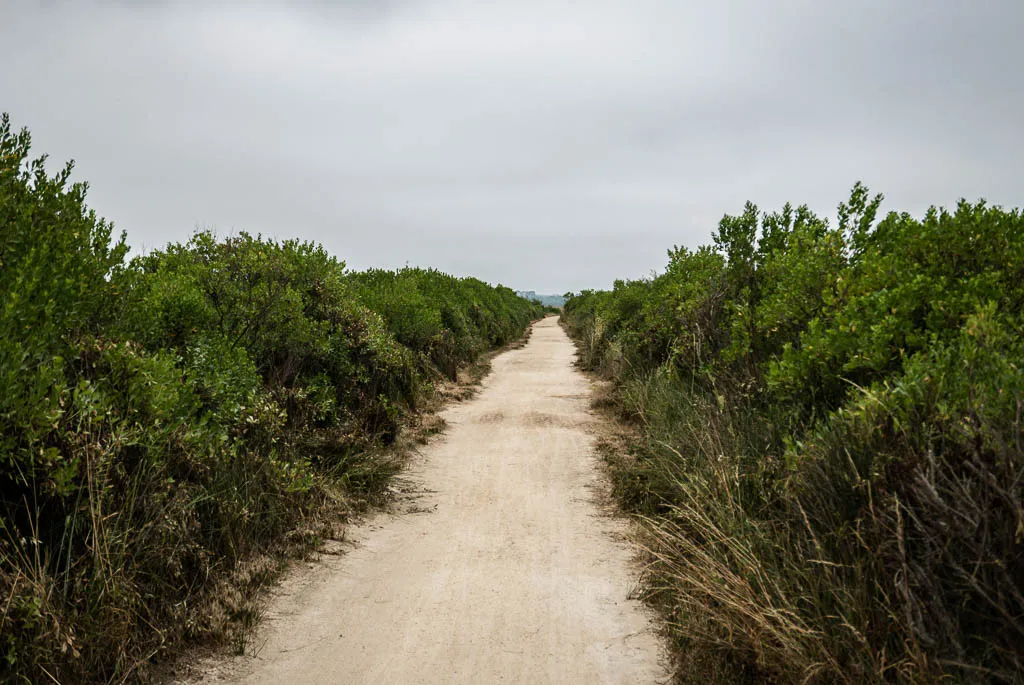 vélo arcachon