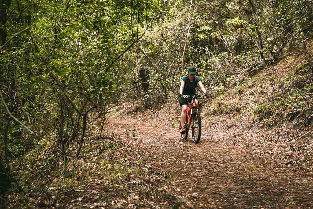 Lacanau cycle path