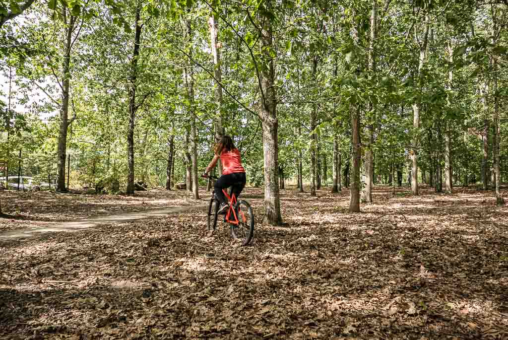 Allons explorer le bois de Bordeaux !