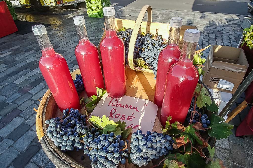 Dégustation de Bourru