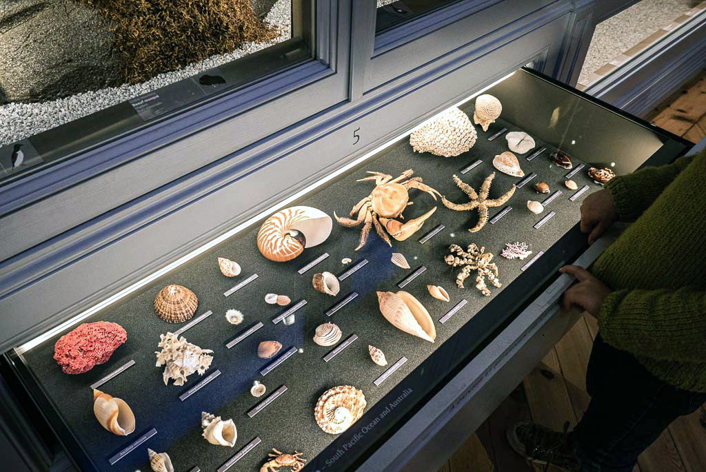 Museum de Bordeaux