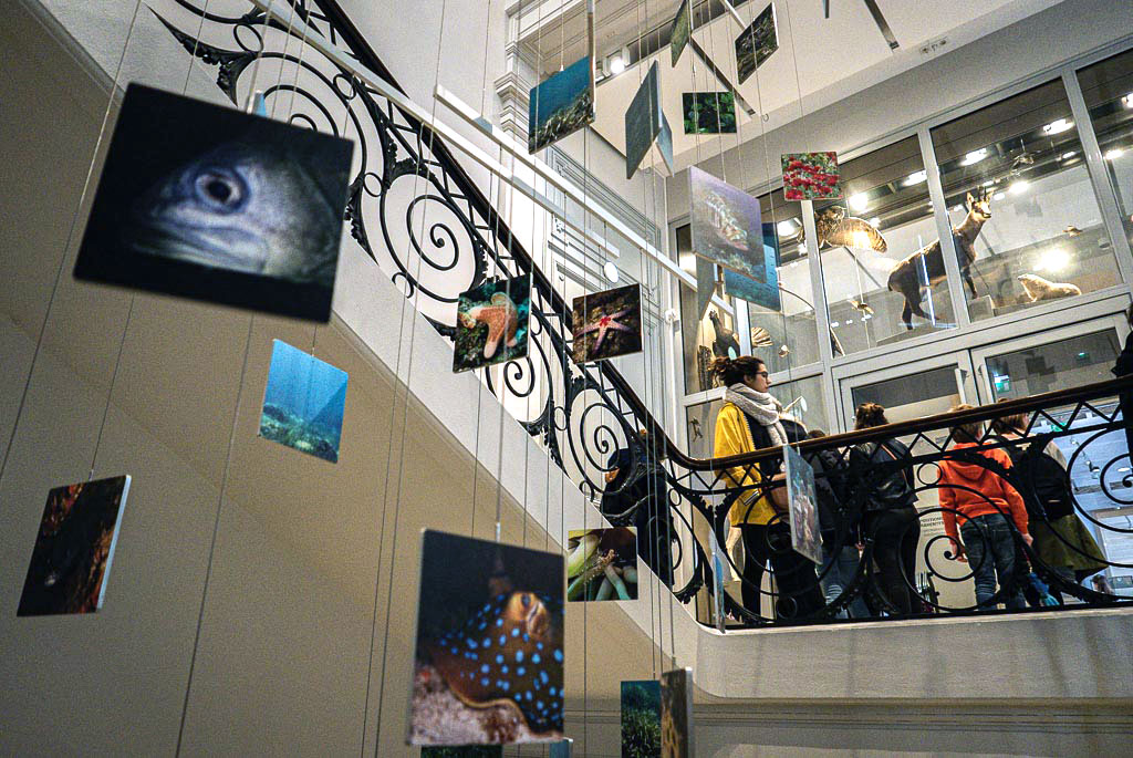 Museum de Bordeaux