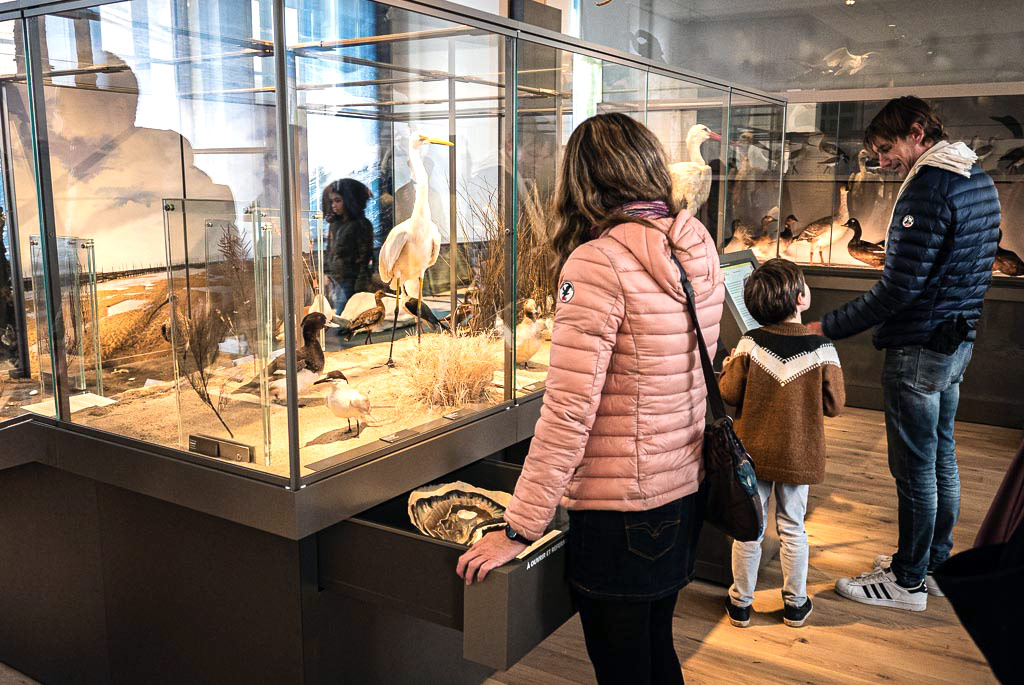 Museum de Bordeaux