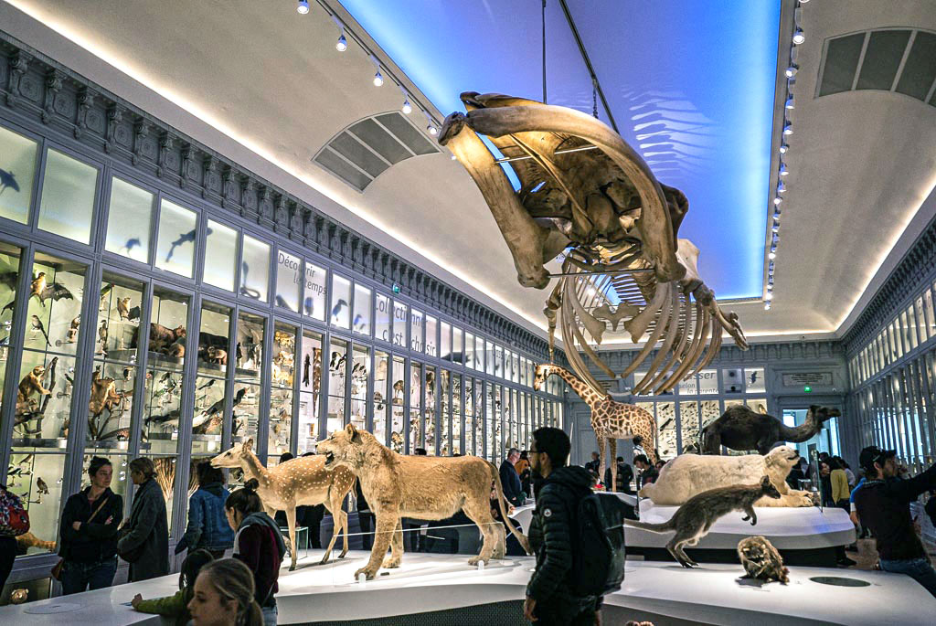 Museum de Bordeaux