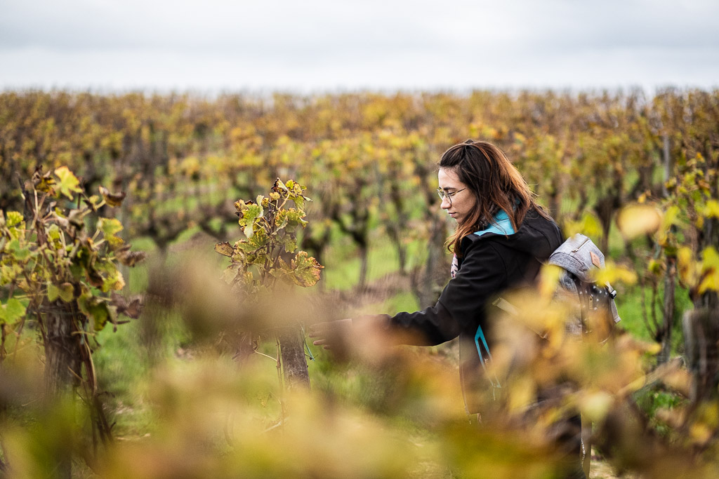 Saucepan Wine Route
