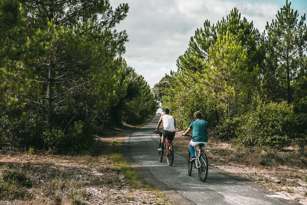Cycling in the pine forest of Lacanau