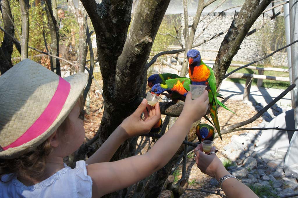 Pessac Zoo