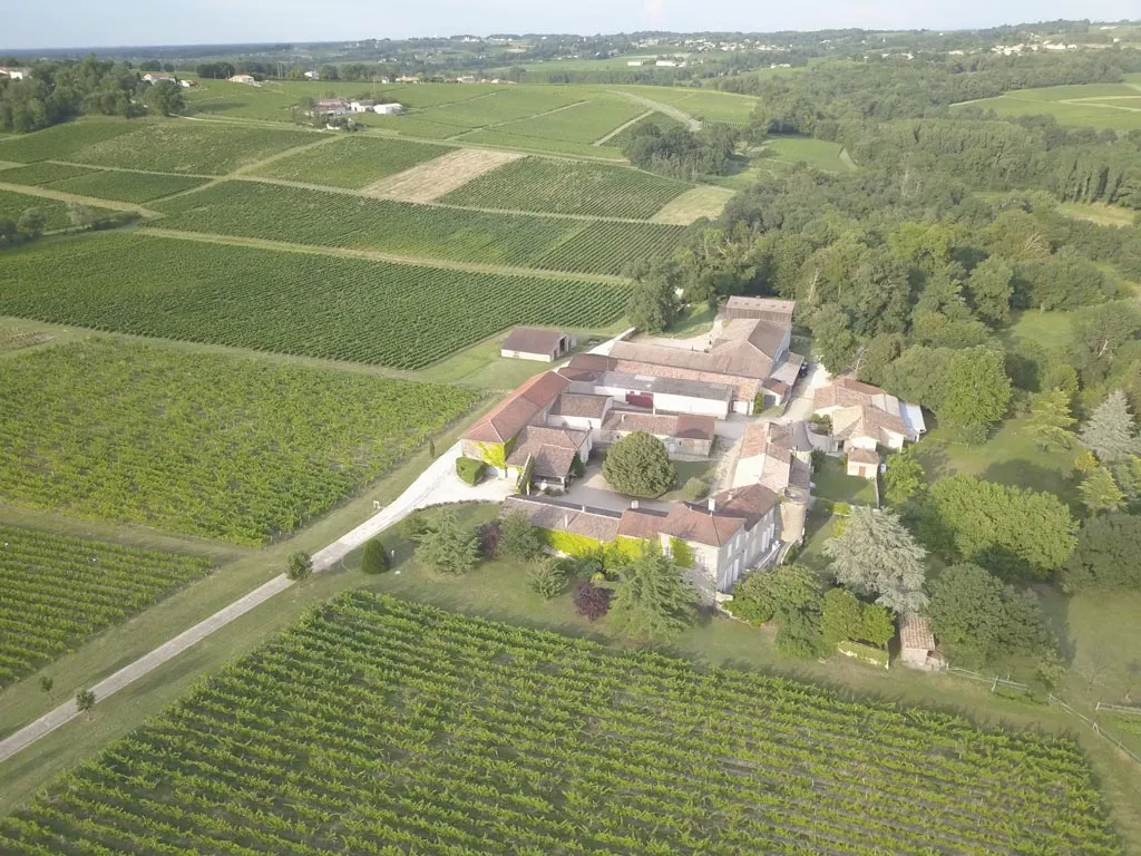 Monconseil Gazin vineyard