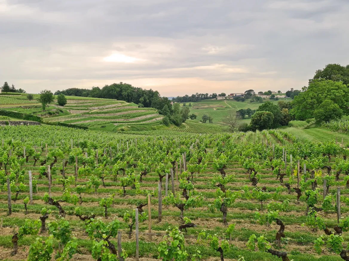 The Combe de la Barde