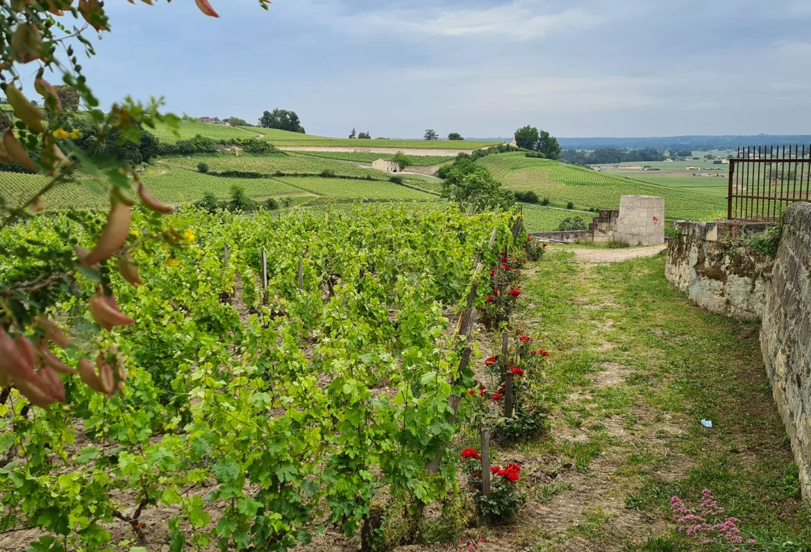 Madeleine plateau