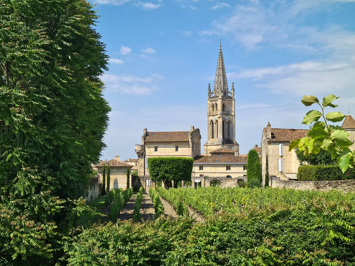 Panorama on the bell tower