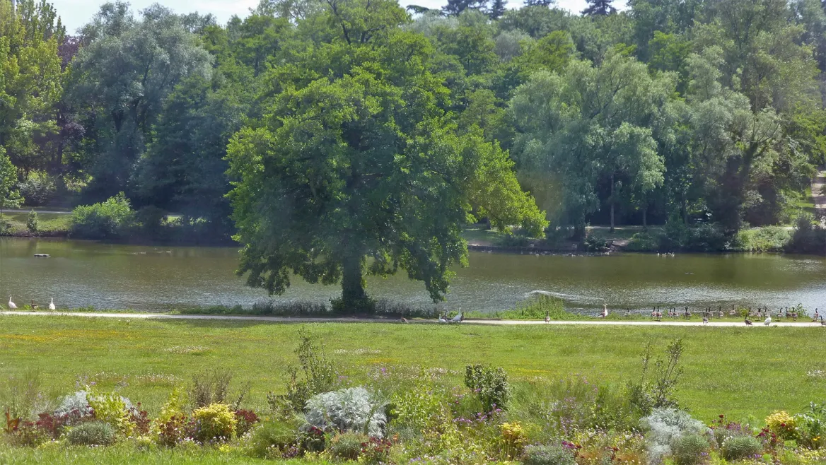 Park