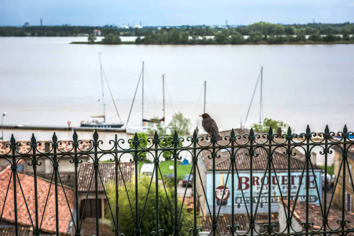 Bourg sur Gironde