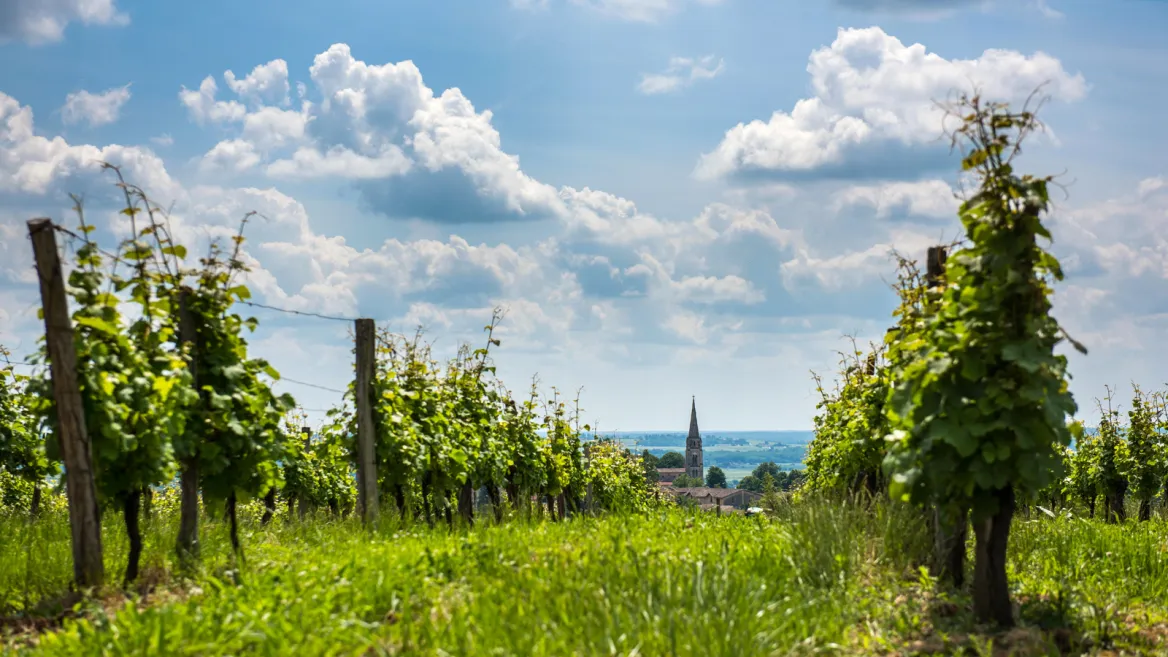Sainte Croix du Mont