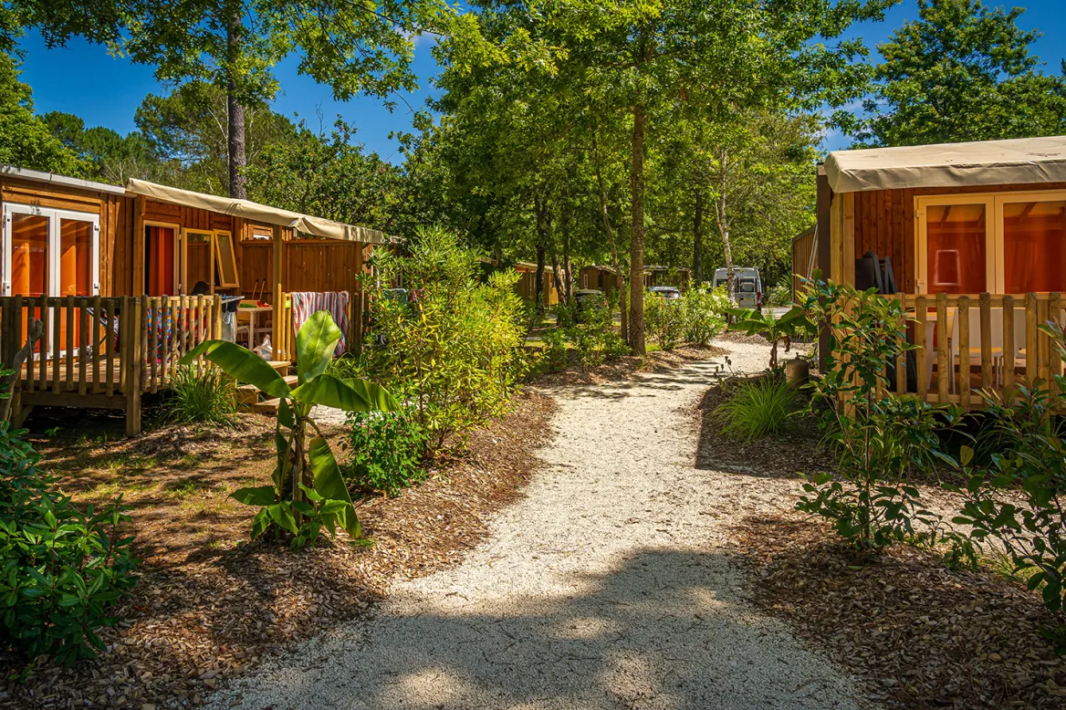 Photo: © Aloa Vacances - Camping l'Orée du Bois